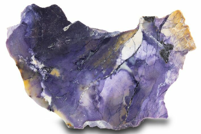 Polished Vibrant Purple Tiffany Stone Slab - Utah #302109